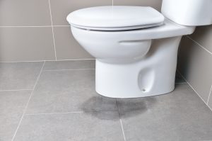 toilet leaking from underneath