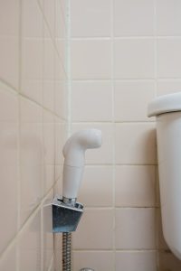 bidet nozzle next to toilet