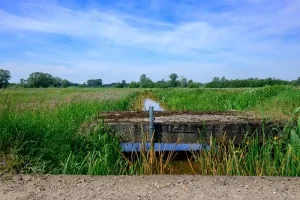 how long does a septic drain field last