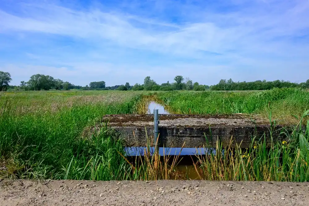 how long does a septic drain field last