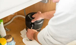 Sharpen Garbage Disposal Blades?