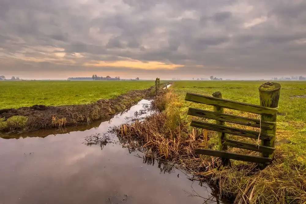 septic drain field replacement